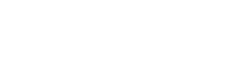 AhnLab 30th Anniversary Emblem